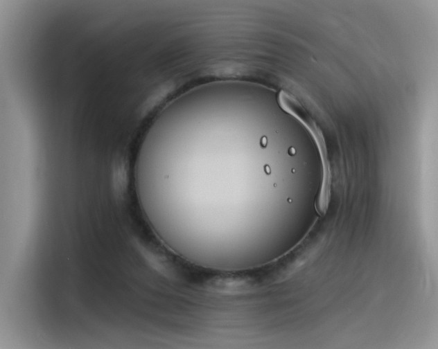 X0000115490208200911131242