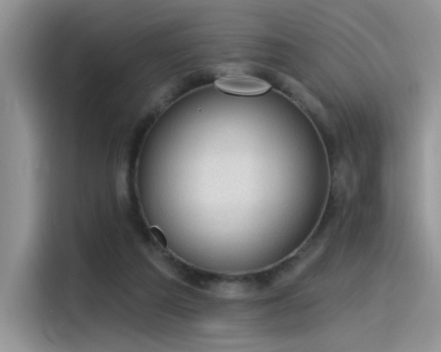 X0000115490209200911131242