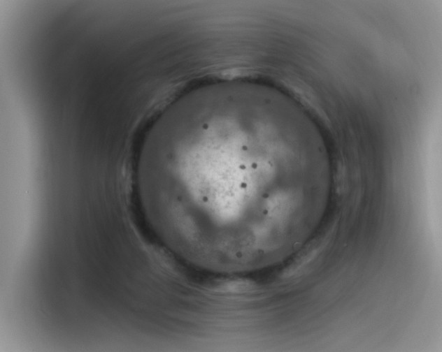 X0000115490210200911131242
