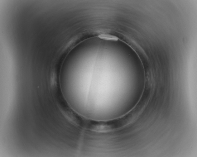 X0000115490212200911131242