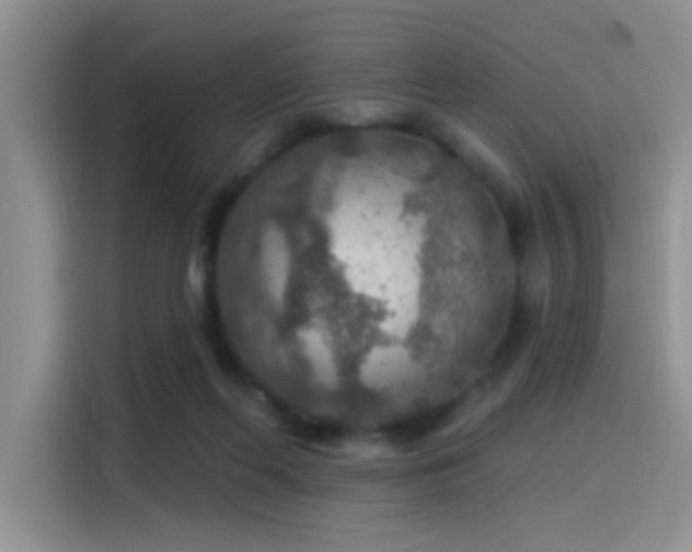 X0000115490214200911131242
