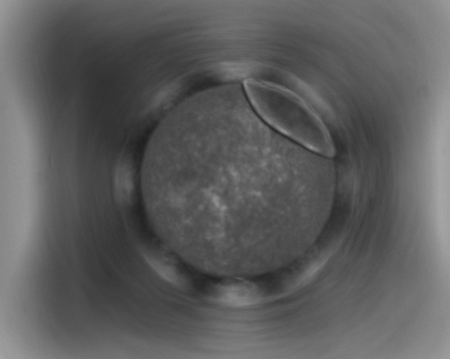 X0000115490215200911131242
