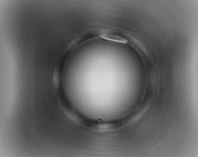 X0000115490216200911131242