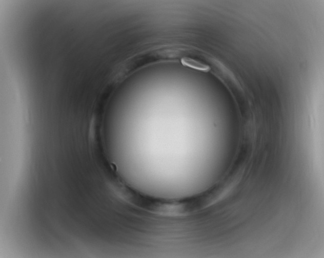 X0000115490217200911131242