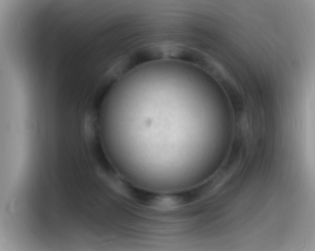 X0000115490218200911131242