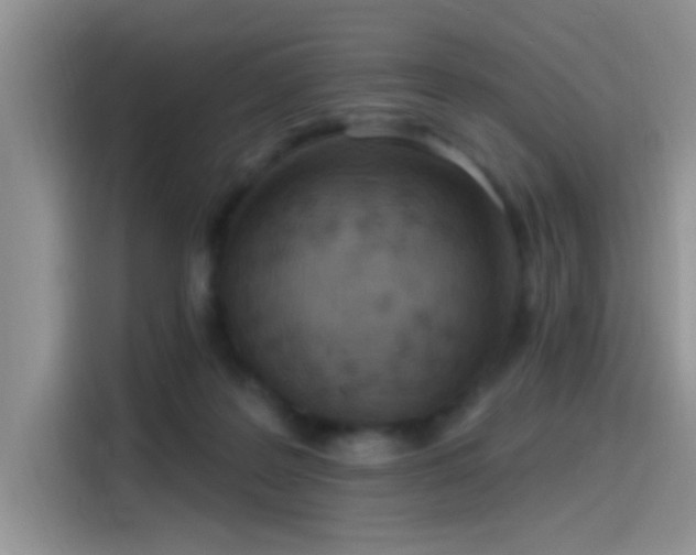 X0000115490219200911131242