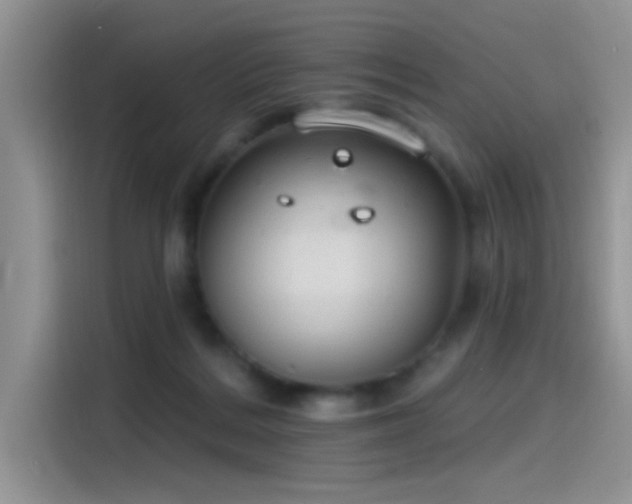 X0000115490220200911131242