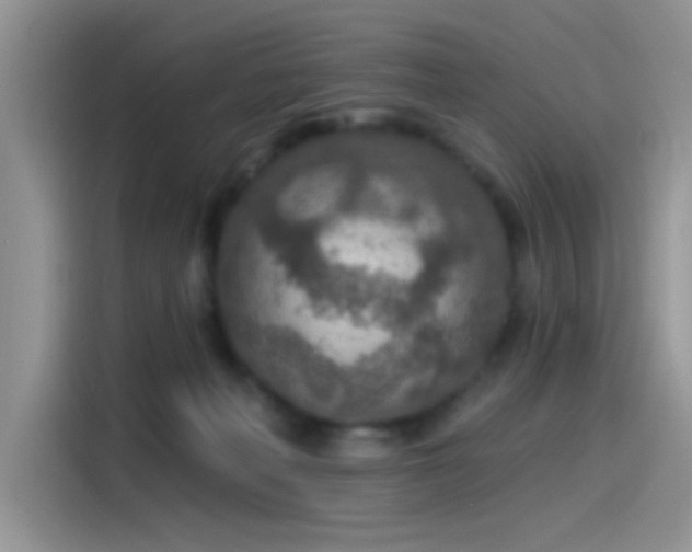 X0000115490222200911131242