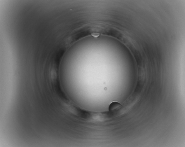 X0000115490226200911131242