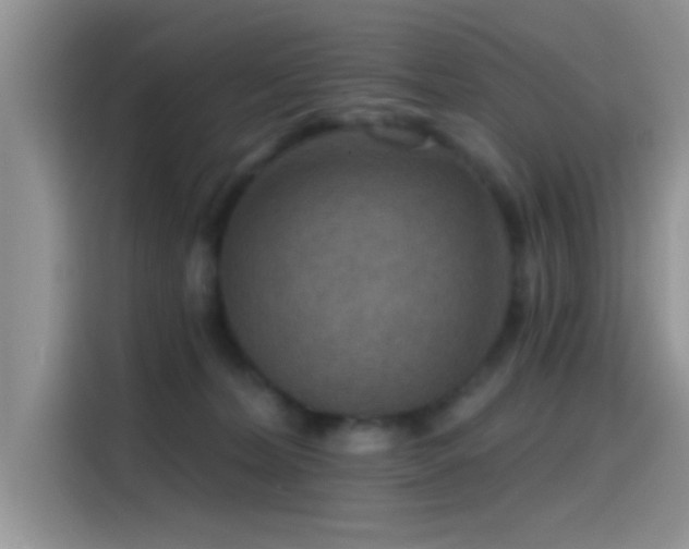 X0000115490228200911131242