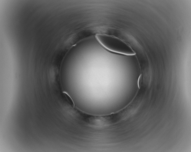 X0000115490229200911131242