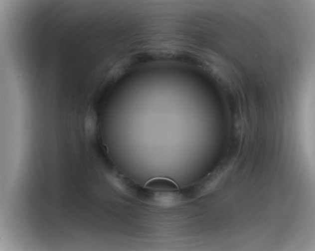 X0000115490231200911131242