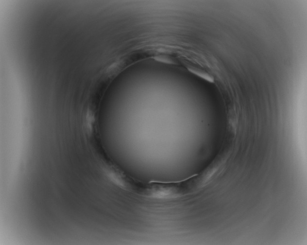 X0000115490235200911131242