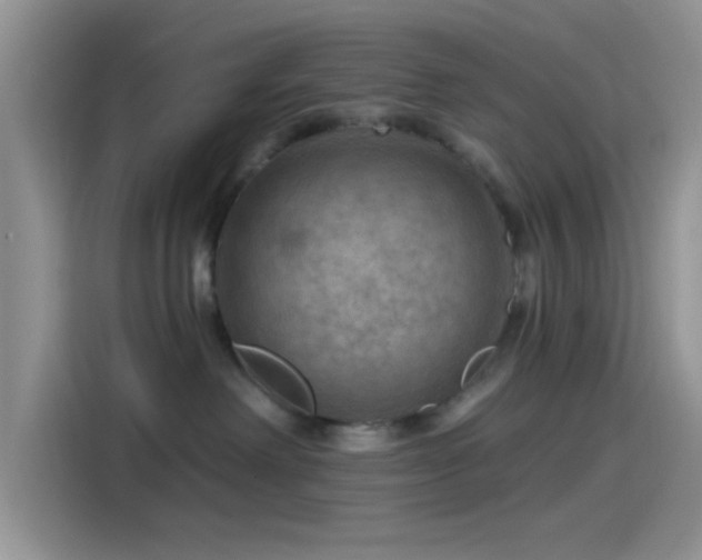 X0000115490238200911131242