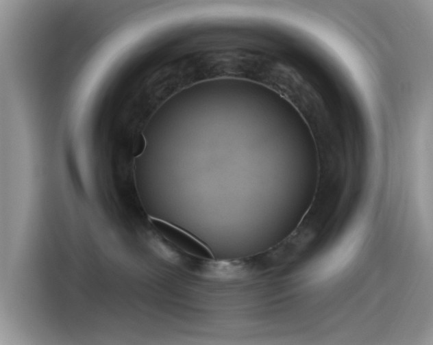 X0000115490239200911131242