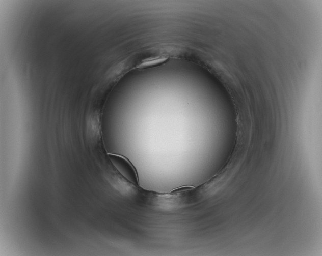 X0000115490240200911131242