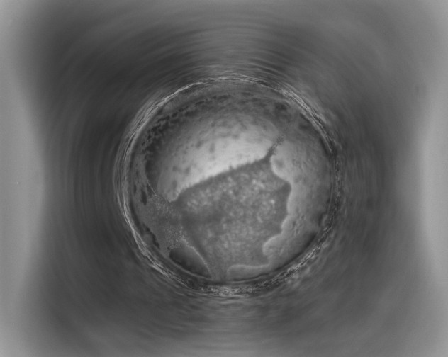 X0000115490241200911131241