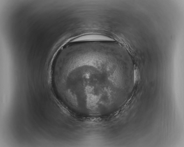 X0000115490243200911131241