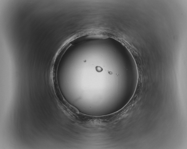 X0000115490244200911131241