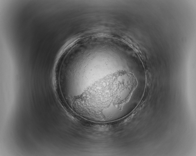 X0000115490245200911131241