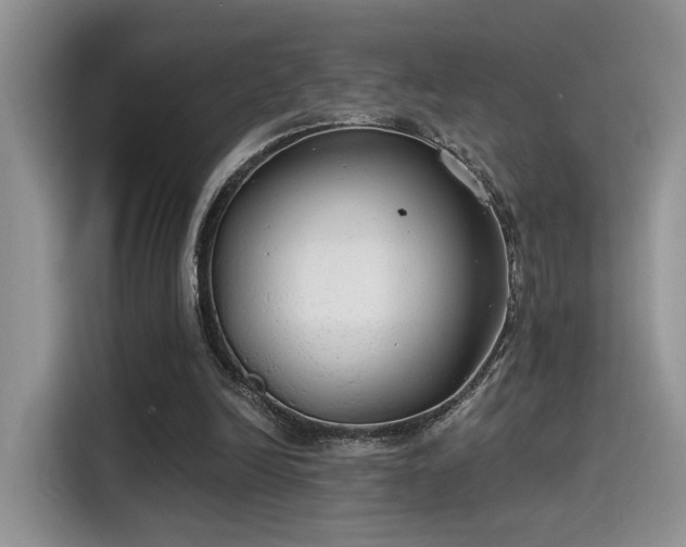 X0000115490246200911131241