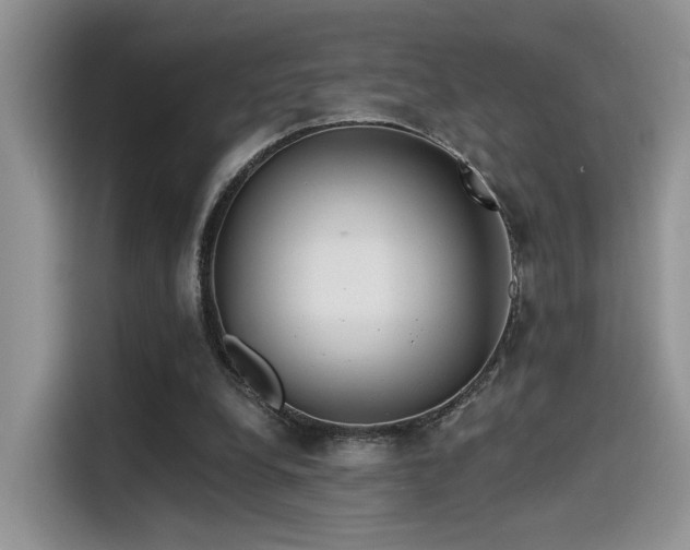 X0000115490248200911131241