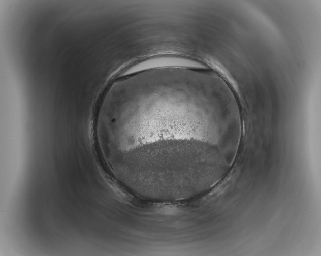 X0000115490249200911131241