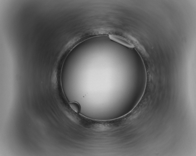 X0000115490250200911131241