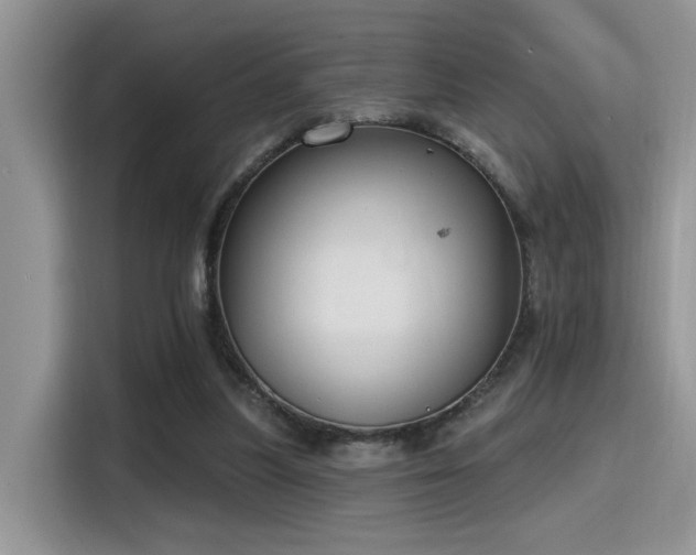 X0000115490251200911131241