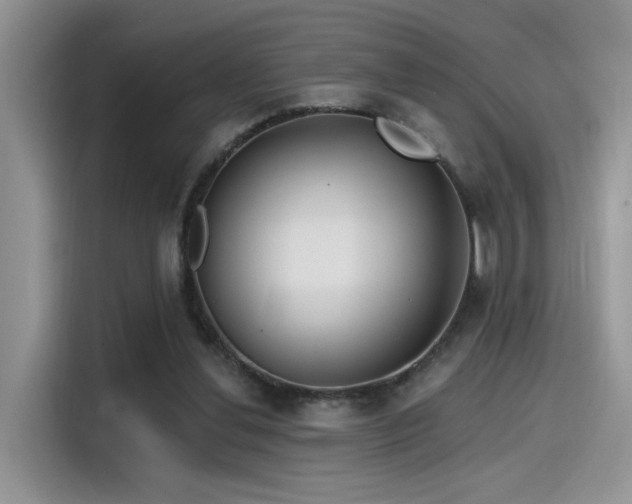 X0000115490252200911131241