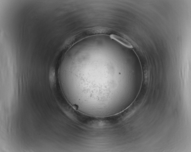 X0000115490254200911131241