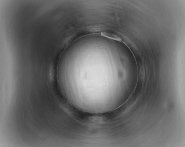 X0000115490255200911131241