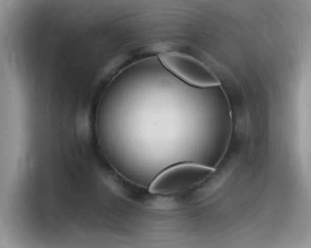 X0000115490256200911131241