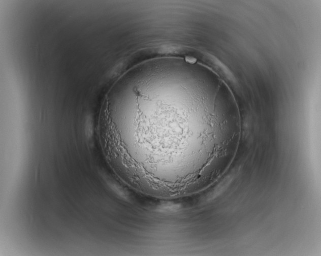 X0000115490257200911131241
