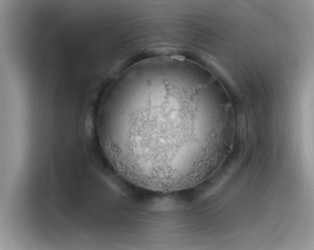 X0000115490259200911131241