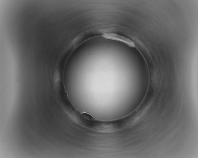 X0000115490260200911131241