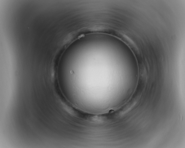 X0000115490261200911131241