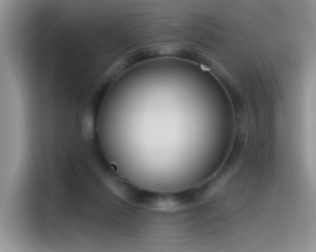 X0000115490262200911131241