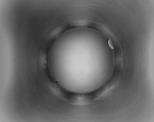 X0000115490264200911131241