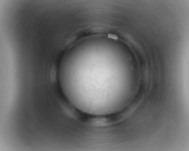 X0000115490266200911131241