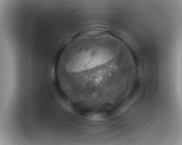 X0000115490267200911131241