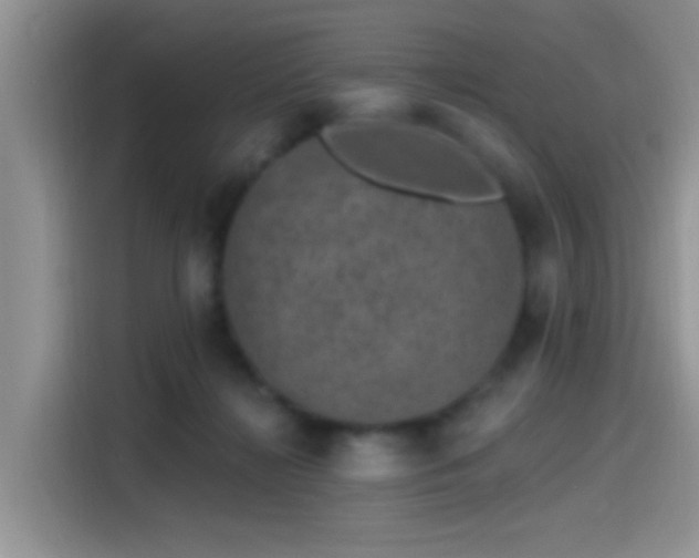 X0000115490268200911131241