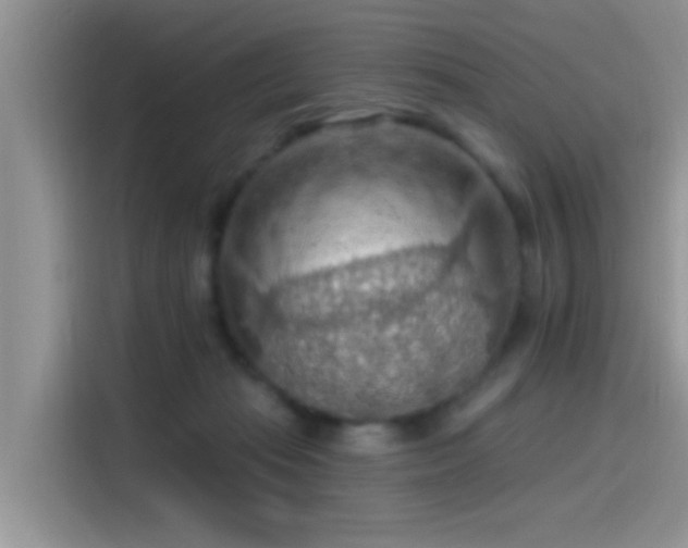 X0000115490269200911131241
