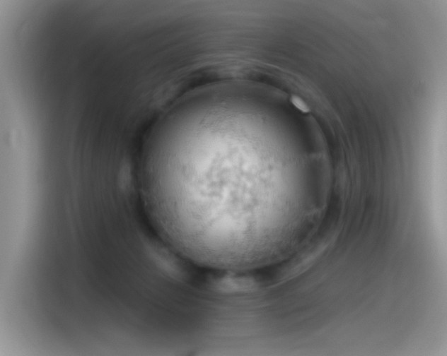 X0000115490270200911131241