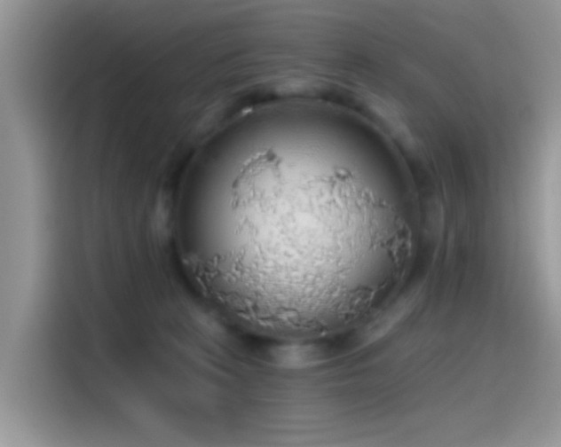 X0000115490273200911131241