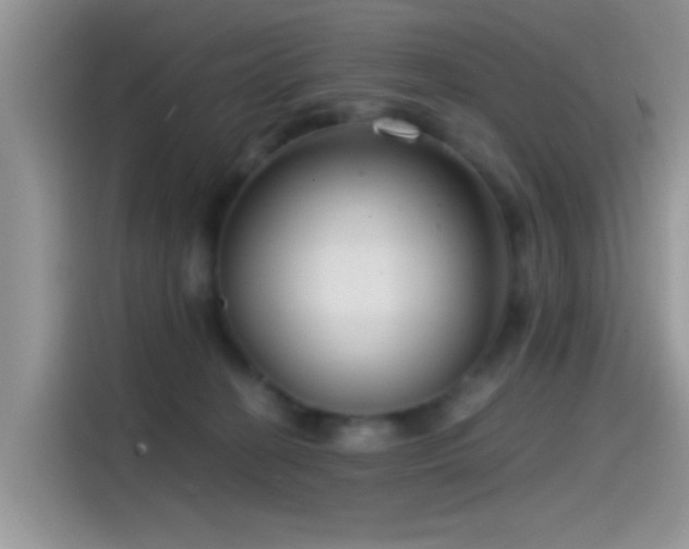 X0000115490274200911131241