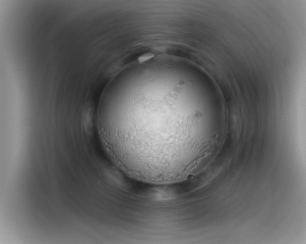 X0000115490275200911131241