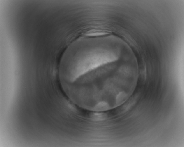 X0000115490277200911131241