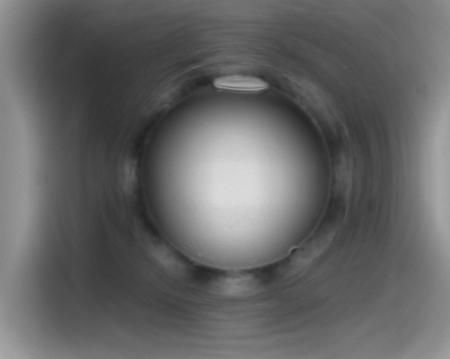 X0000115490278200911131241