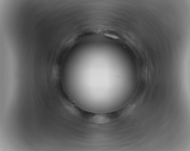X0000115490280200911131241